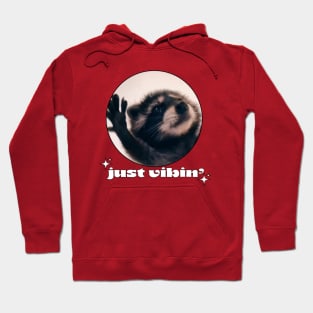 Dancing Raccoon Pedro Vintage Just Vibing lover  Meme Hoodie